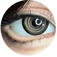 21.webp